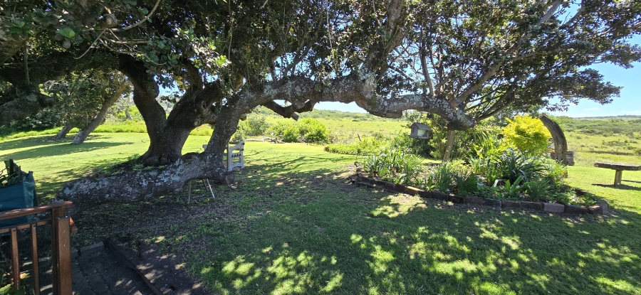 4 Bedroom Property for Sale in Marshstrand Eastern Cape